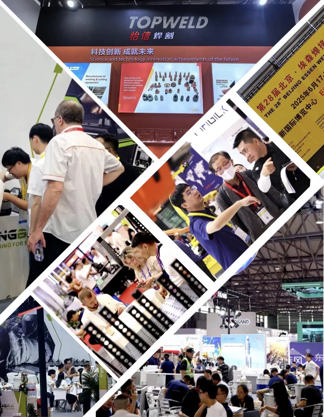 Our Exhibition.webp